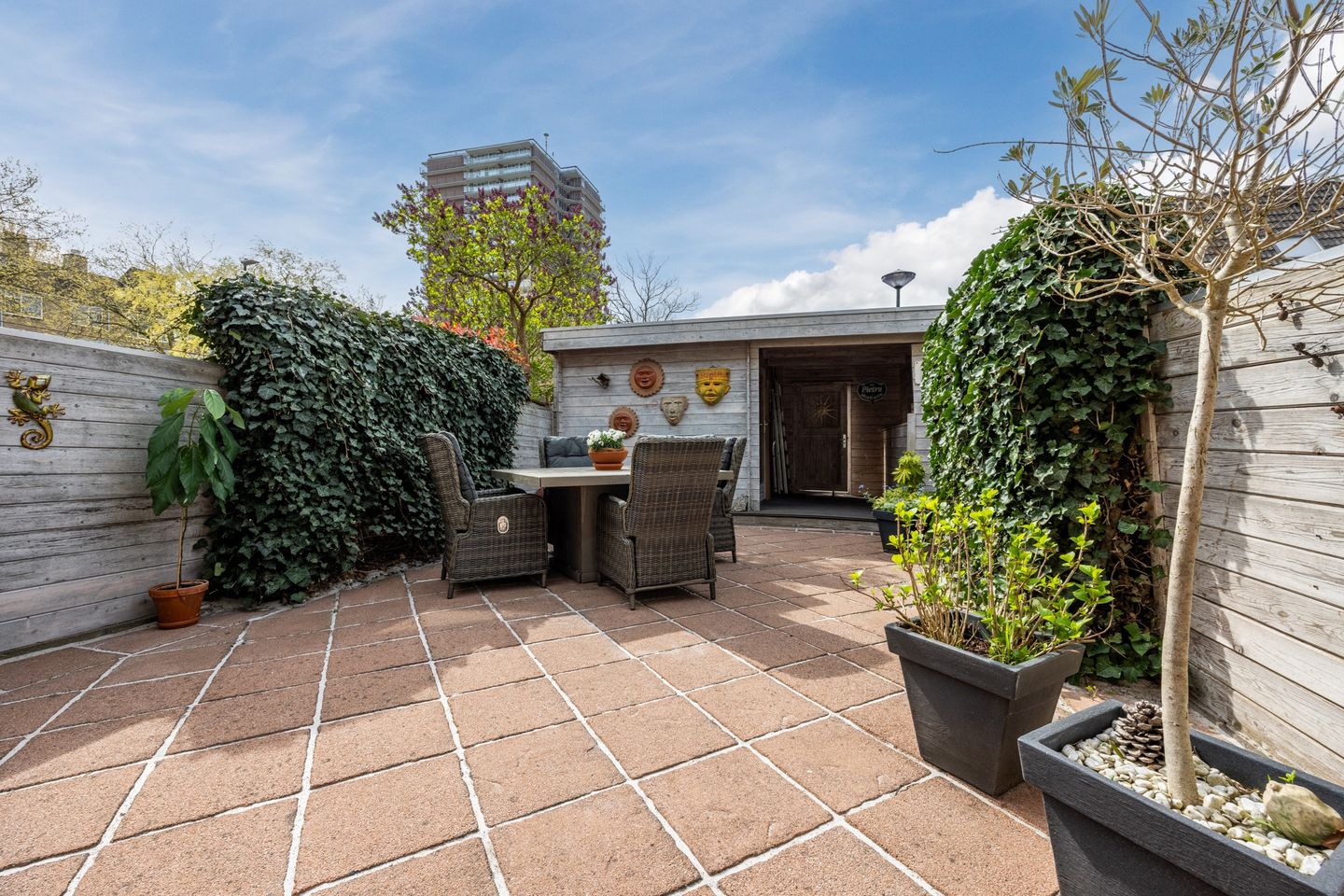 Photo 5 of Arnoldipad 3