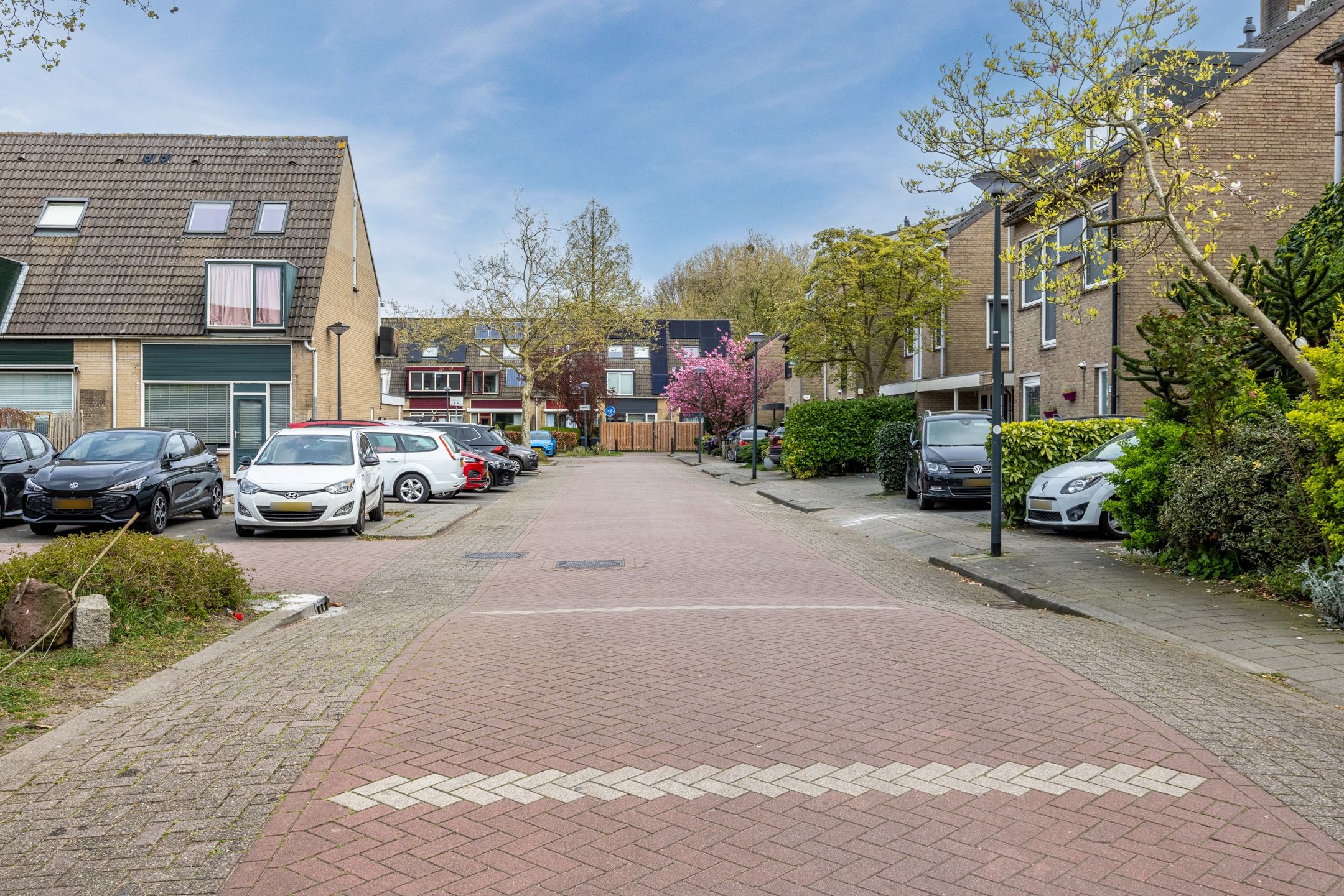 Photo 39 of Arnoldipad 3