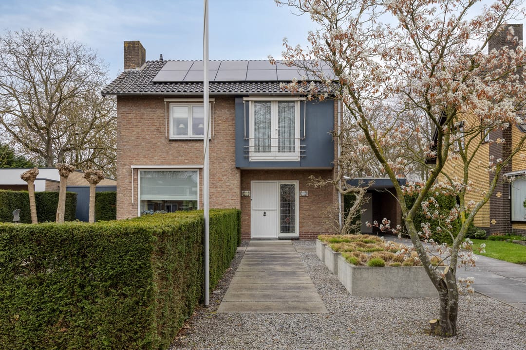 Photo 11 of Blommert 11