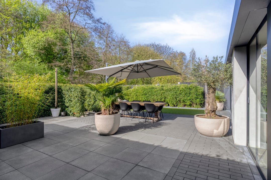 Photo 43 of Edelvalk 38