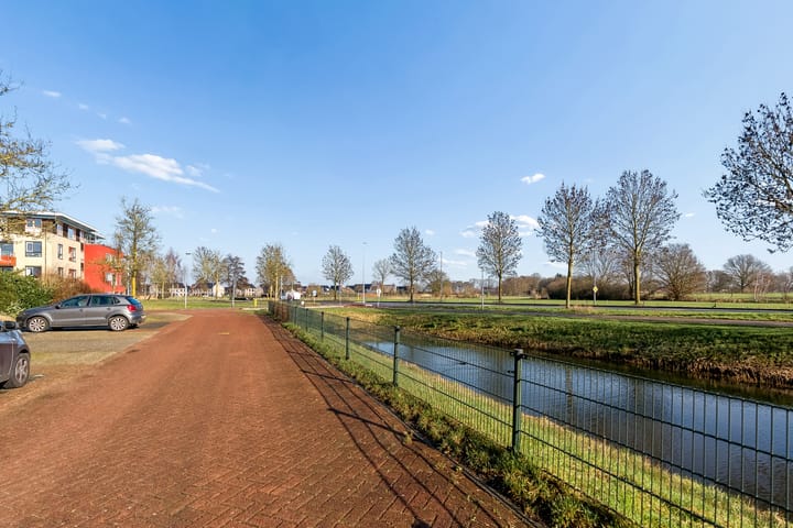 Foto 2 van Tureluur 4