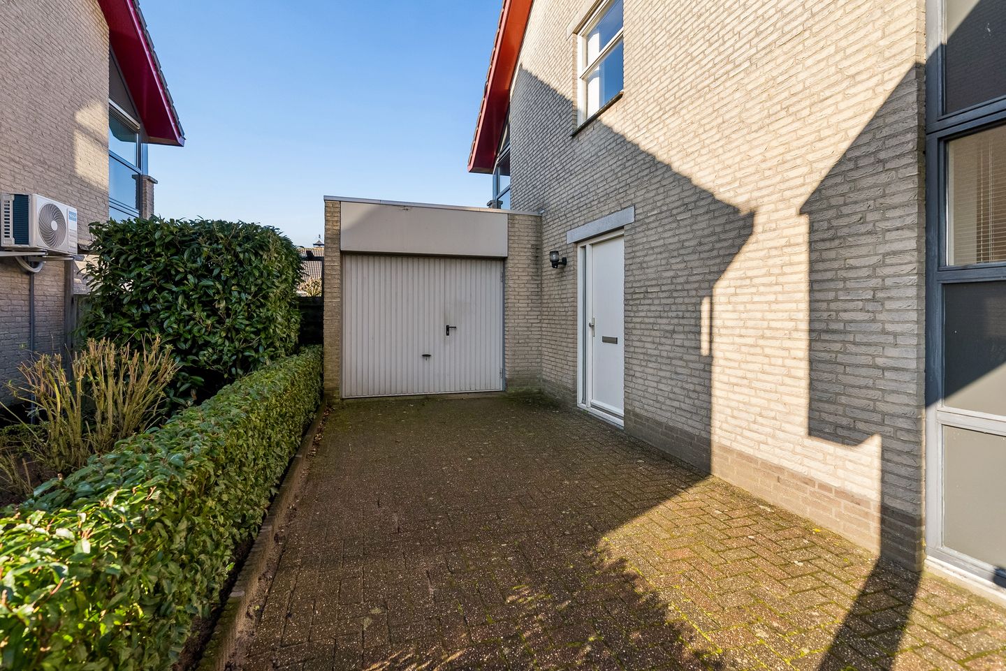Foto 5 van Tureluur 4