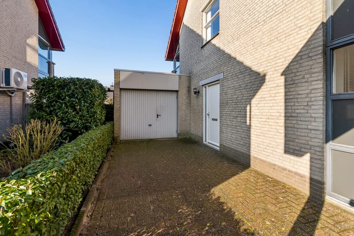 Foto 5 van Tureluur 4