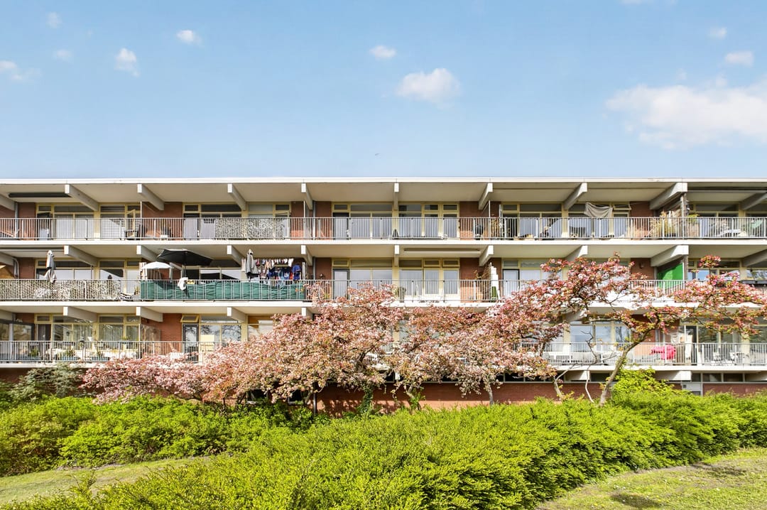 Foto 1 van Amerbos 285