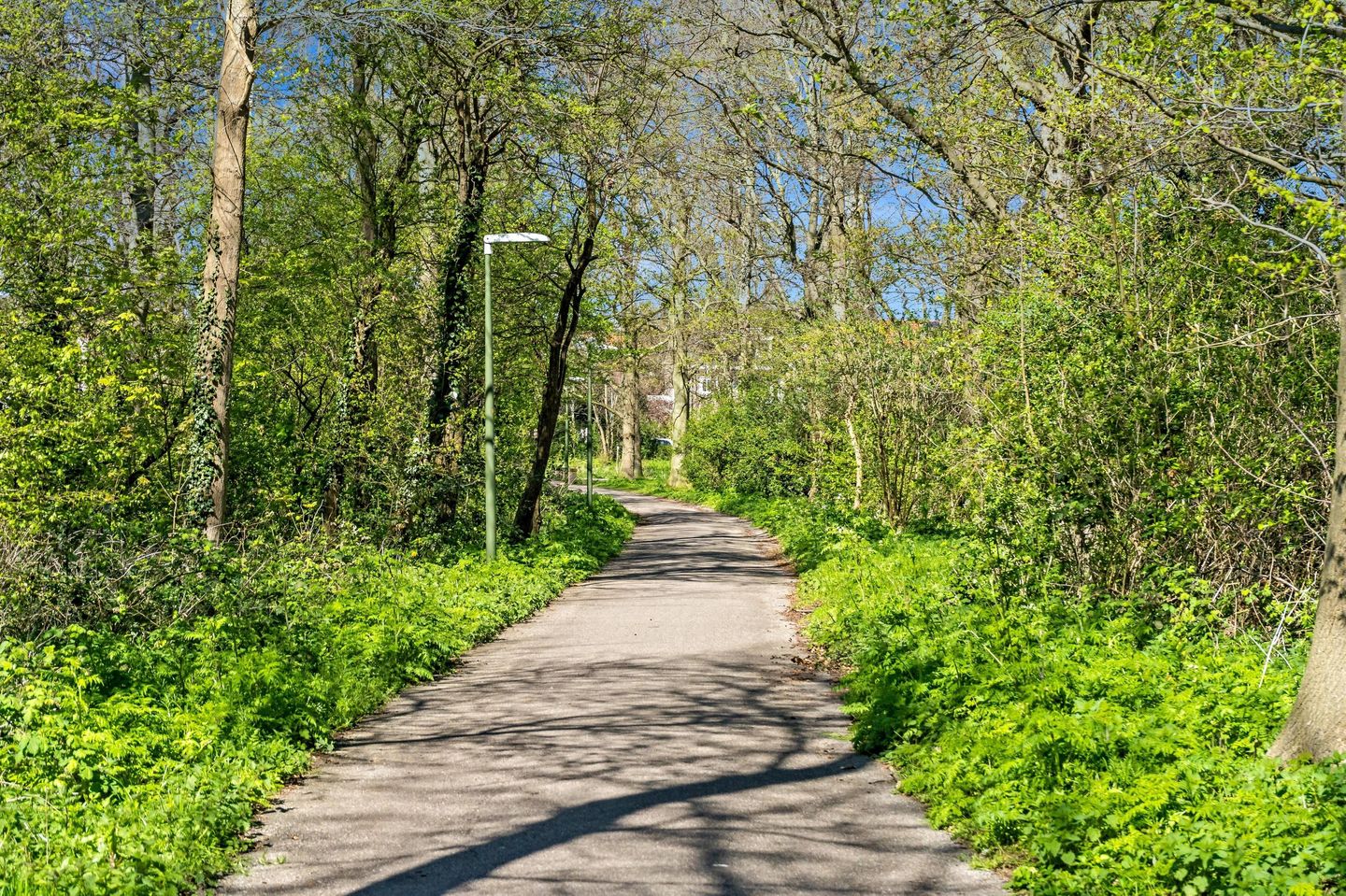 Photo 70 of Sportlaan 337