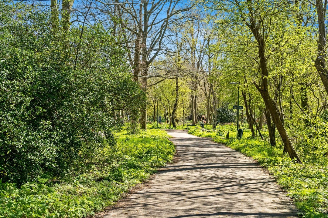 Photo 67 of Sportlaan 337