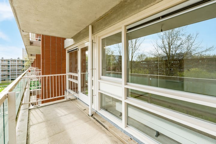 Foto 3 van Oeverpad 256