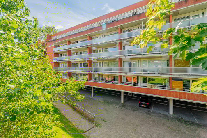 Foto 4 van Oeverpad 256