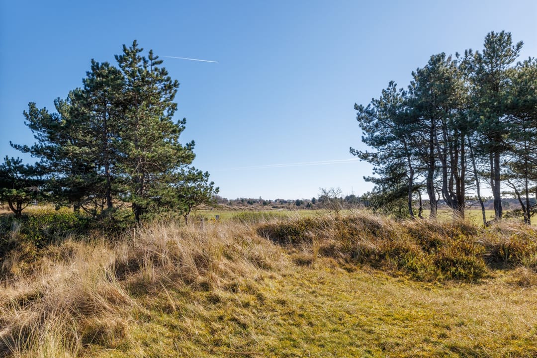 Foto 2 van Kievitsweg 14