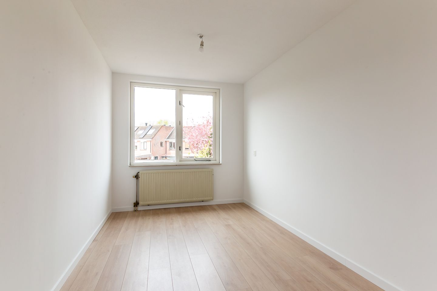 Foto 19 van Botter 33 6