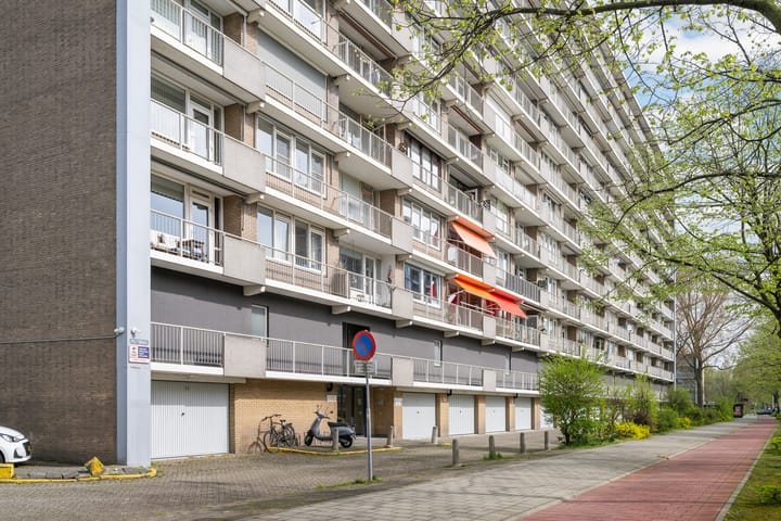 Holysingel 162 main image