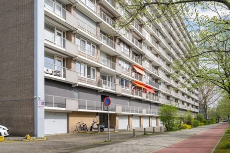 Holysingel thumbnail