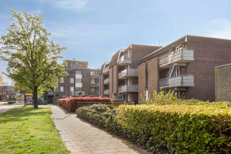 Paukenlaan thumbnail