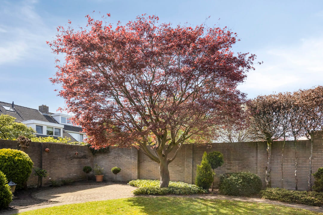 Spacious Semi-Detached House with Sauna, Four Bedrooms and Sunny West-Facing Garden — 43