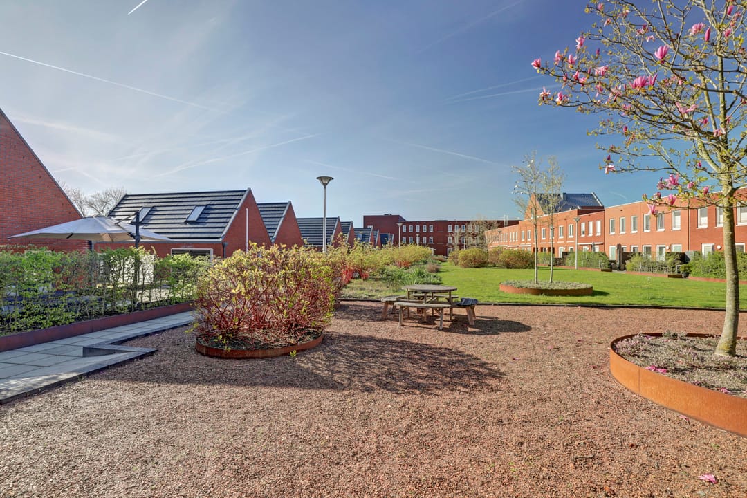 Photo 38 of Onderlangs 5