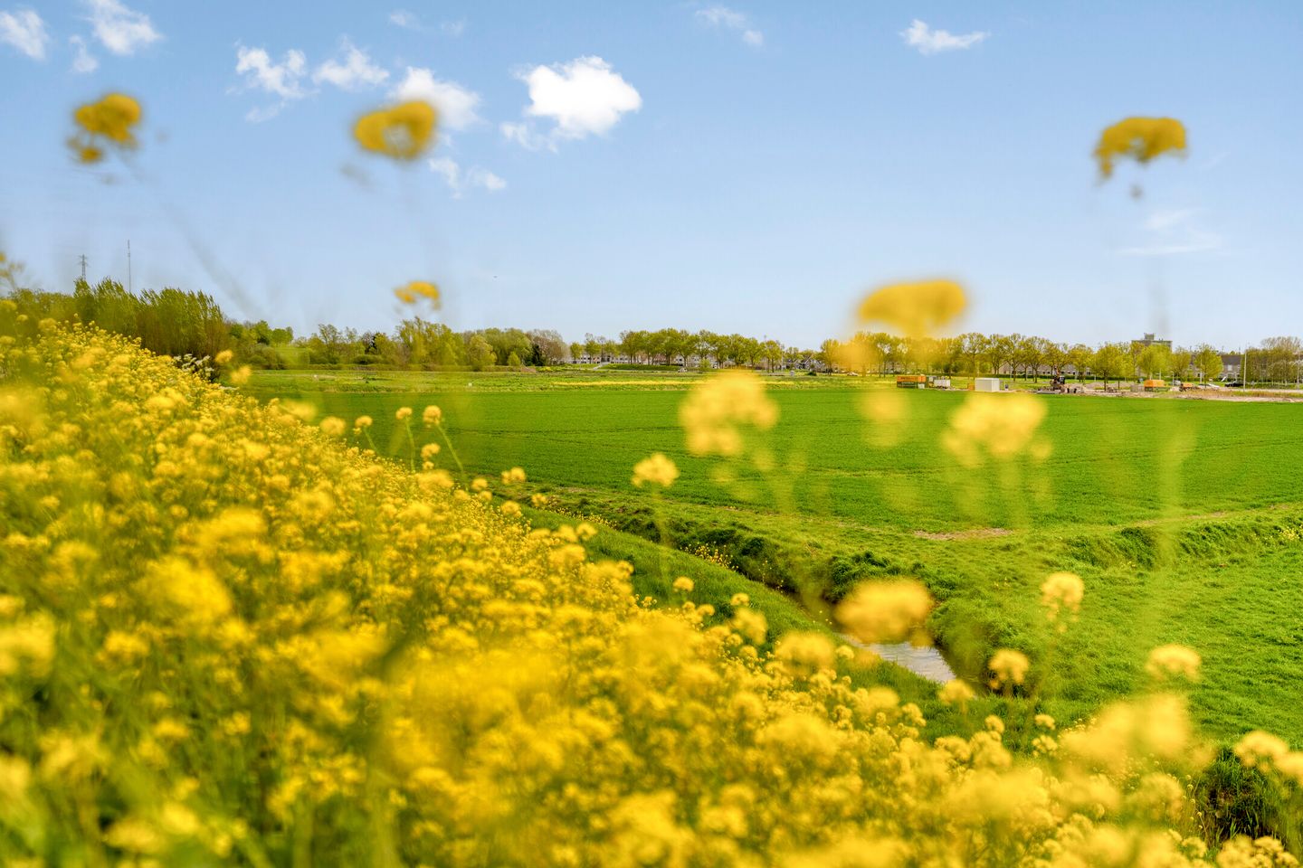 Foto 34 van Indusstraat 66