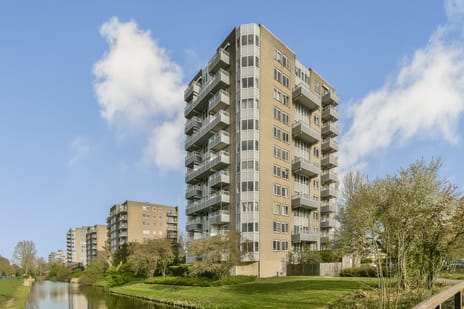 Rosa Spierlaan thumbnail