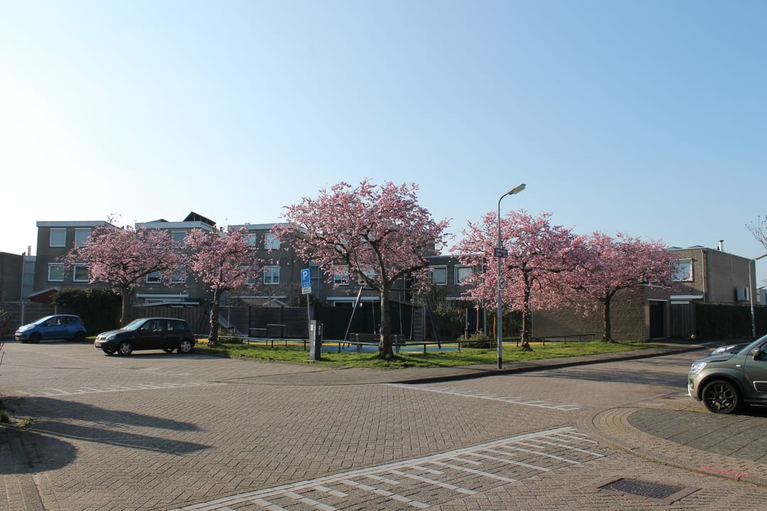 Foto 47 van Annie van Eesstraat 20