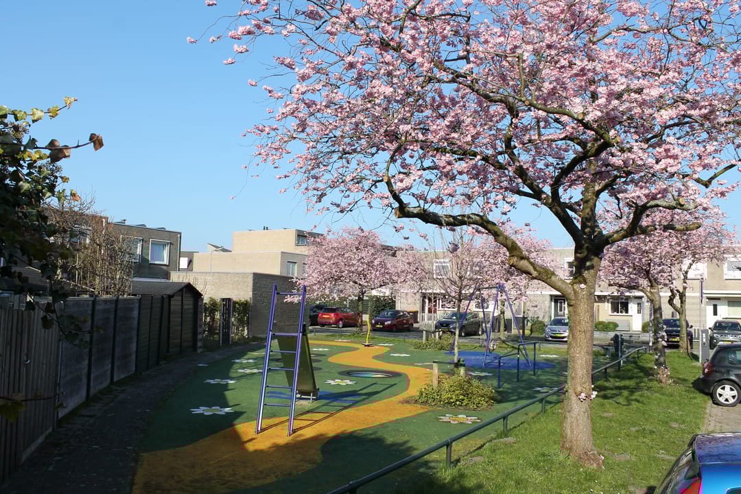 Foto 46 van Annie van Eesstraat 20