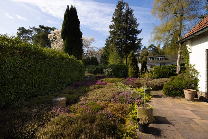 Photo 4 of Koningin Wilhelminalaan 10