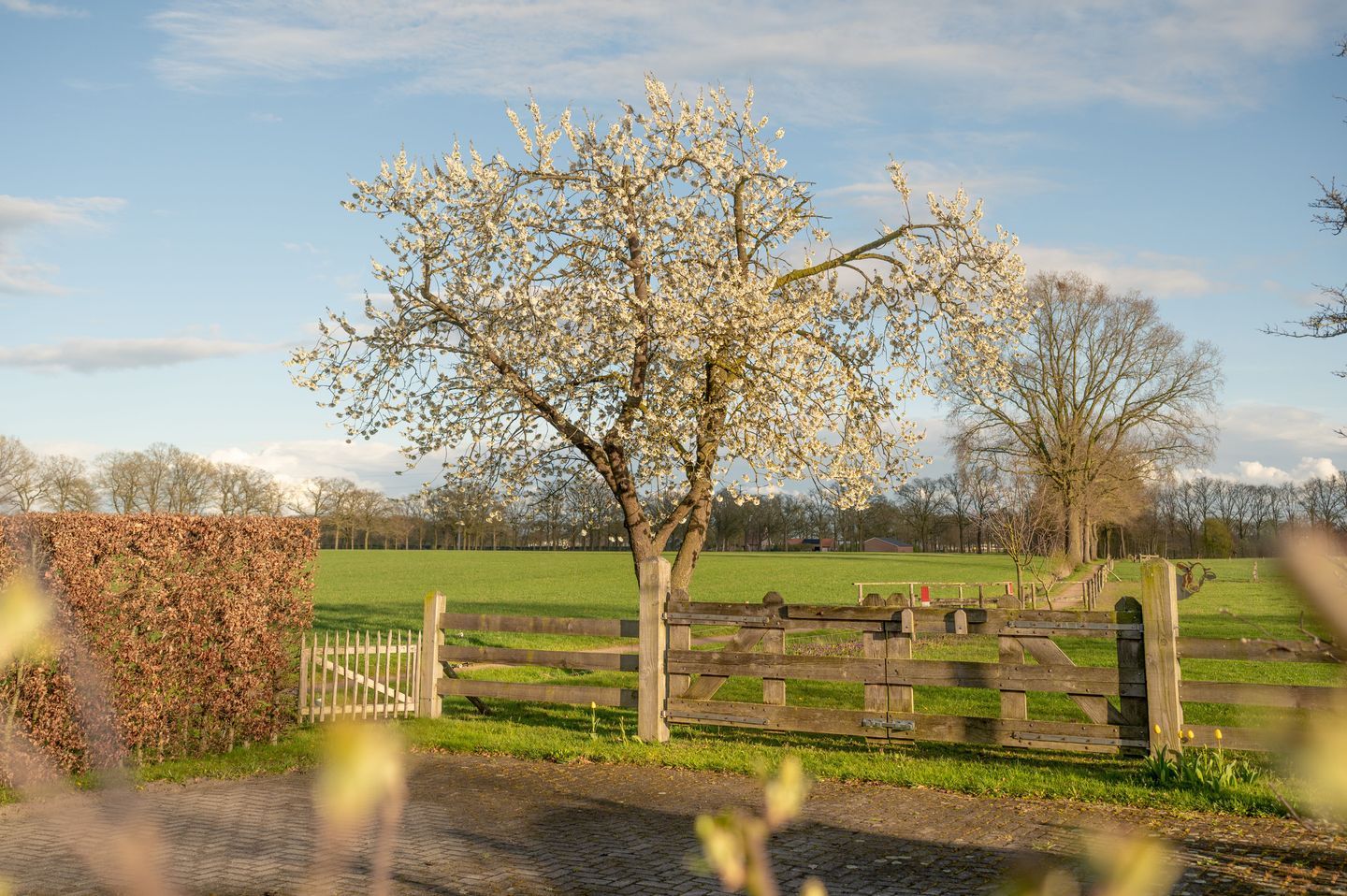 Foto 49 van Spilmansdijk 12