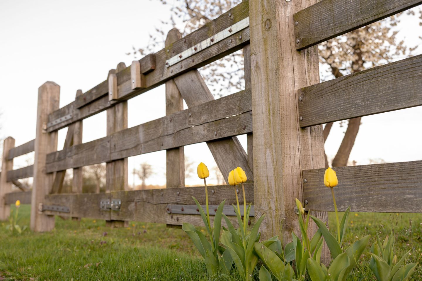 Foto 50 van Spilmansdijk 12