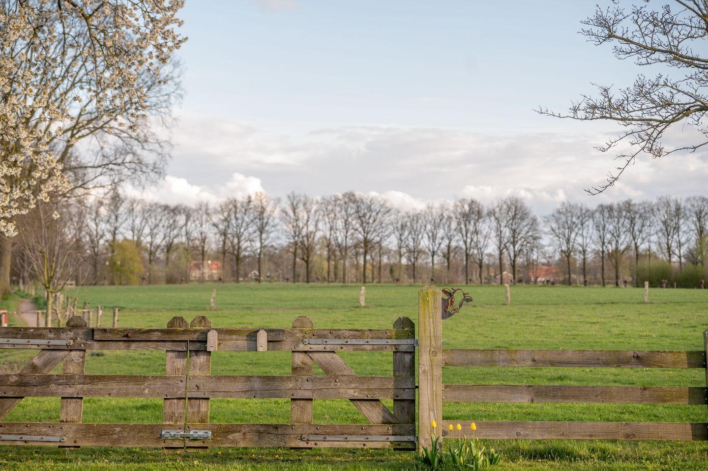 Foto 48 van Spilmansdijk 12