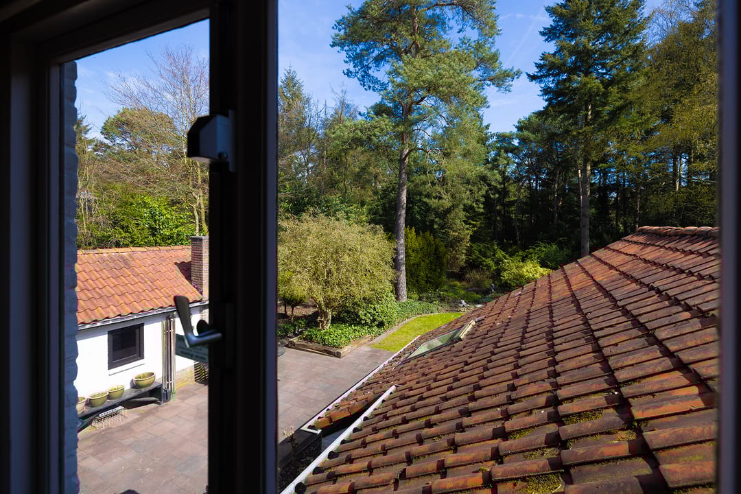 Foto 23 van Koningin Wilhelminalaan 10