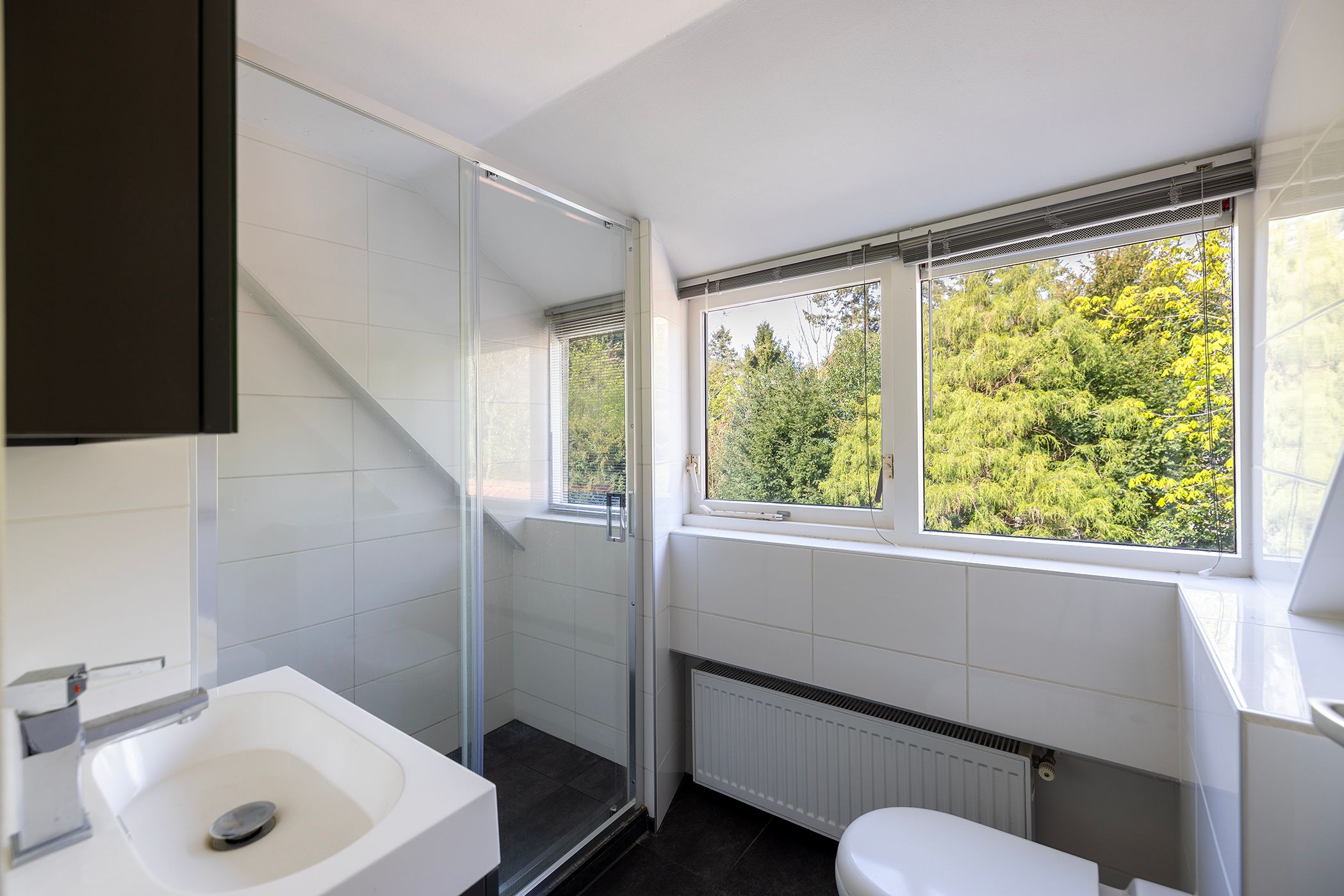 Foto 24 van Koningin Wilhelminalaan 10