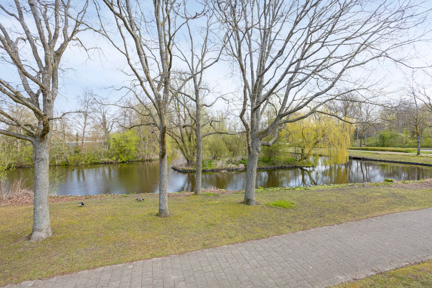 Foto 25 van Henri Dunantsingel 156