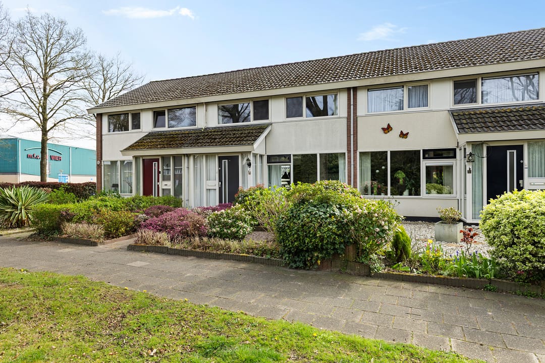 Foto 38 van Sichte 3