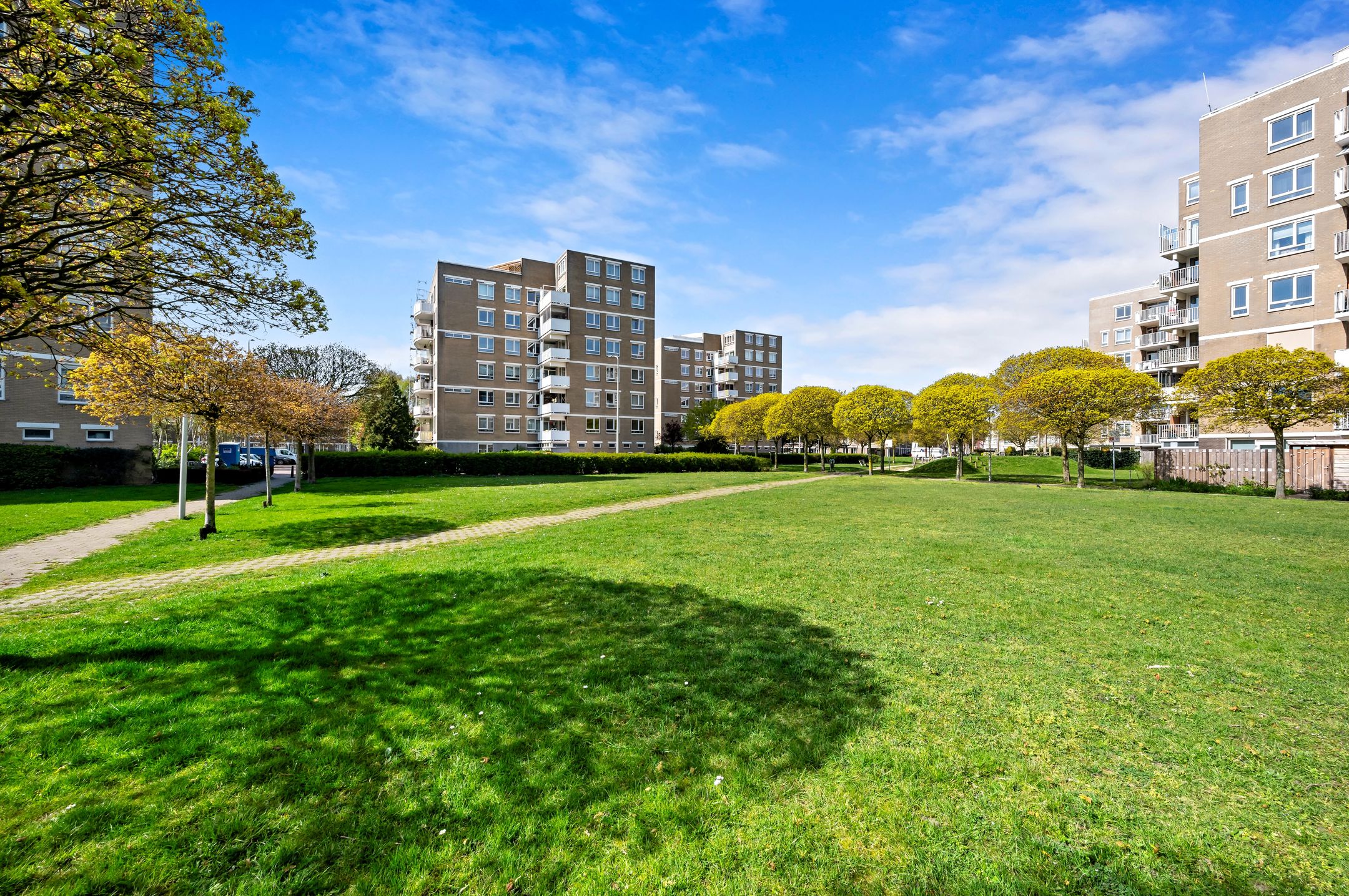 Photo 48 of Marius Godwaldtstraat 59