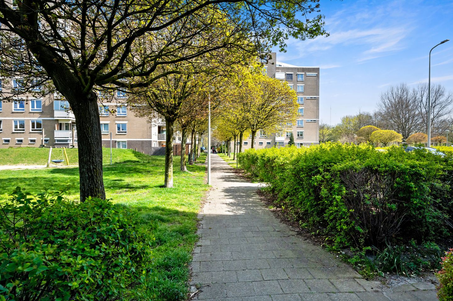 Photo 49 of Marius Godwaldtstraat 59