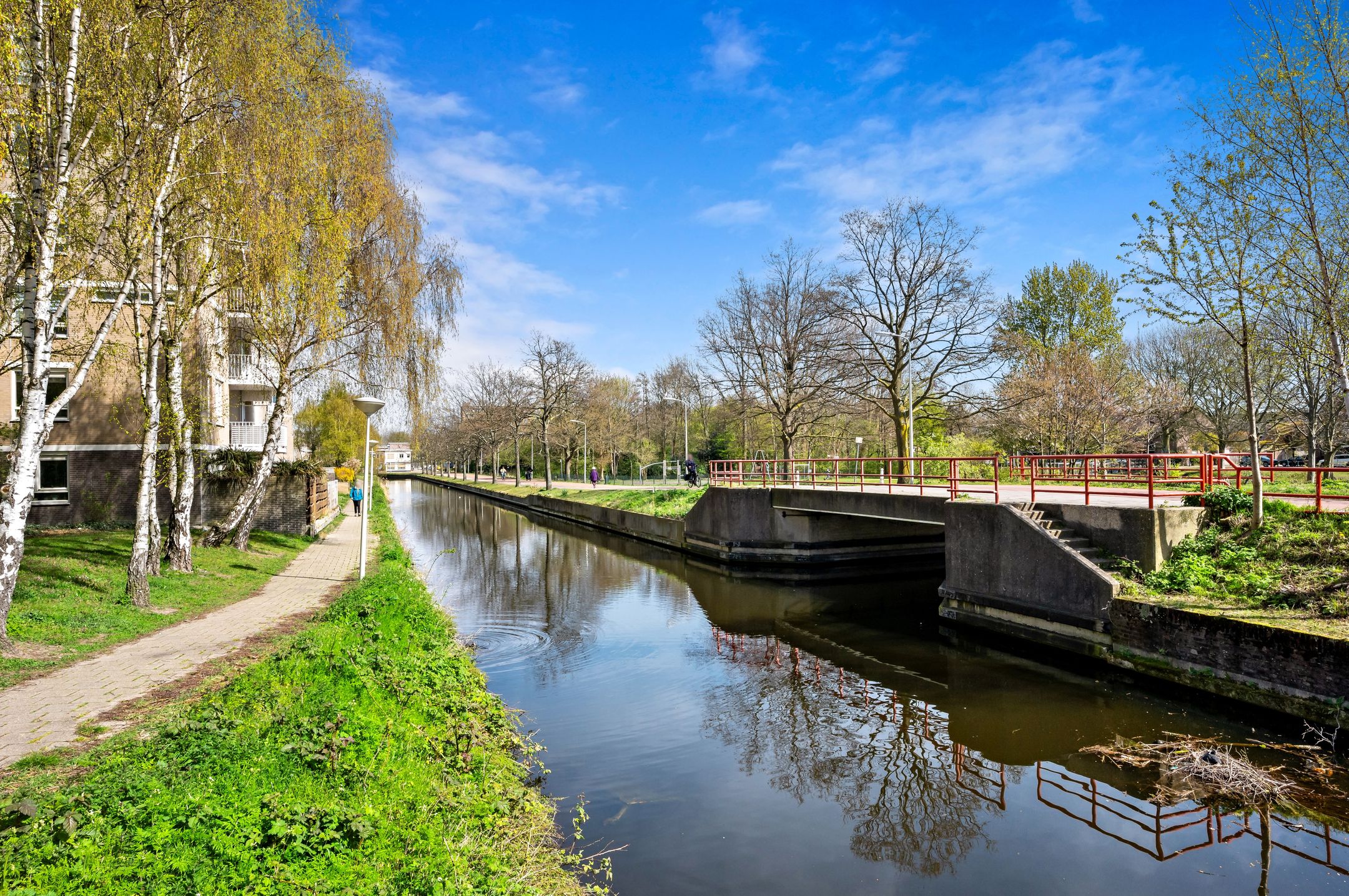 Photo 51 of Marius Godwaldtstraat 59