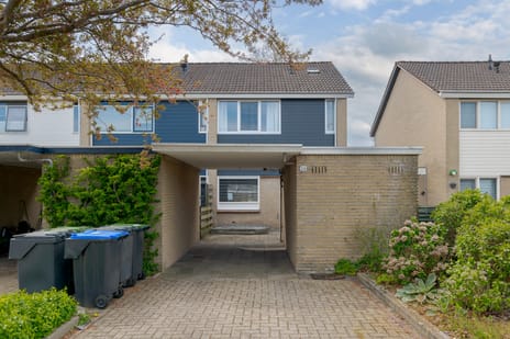 Hercules Segherslaan thumbnail