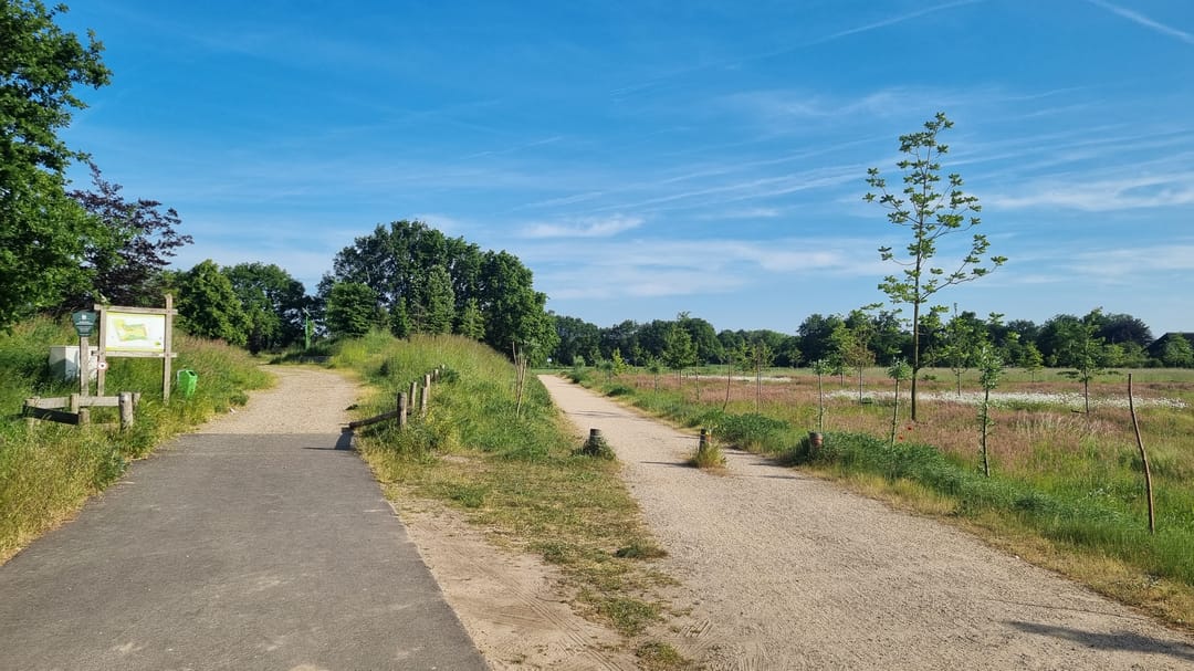 Foto 7 van Stellingmolen 14