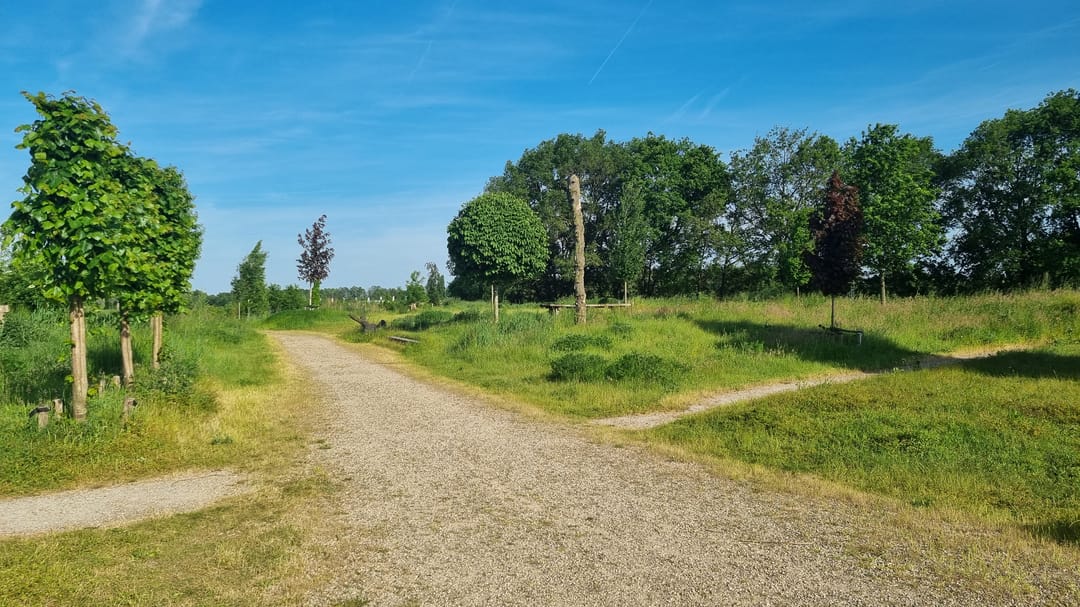 Foto 8 van Stellingmolen 14