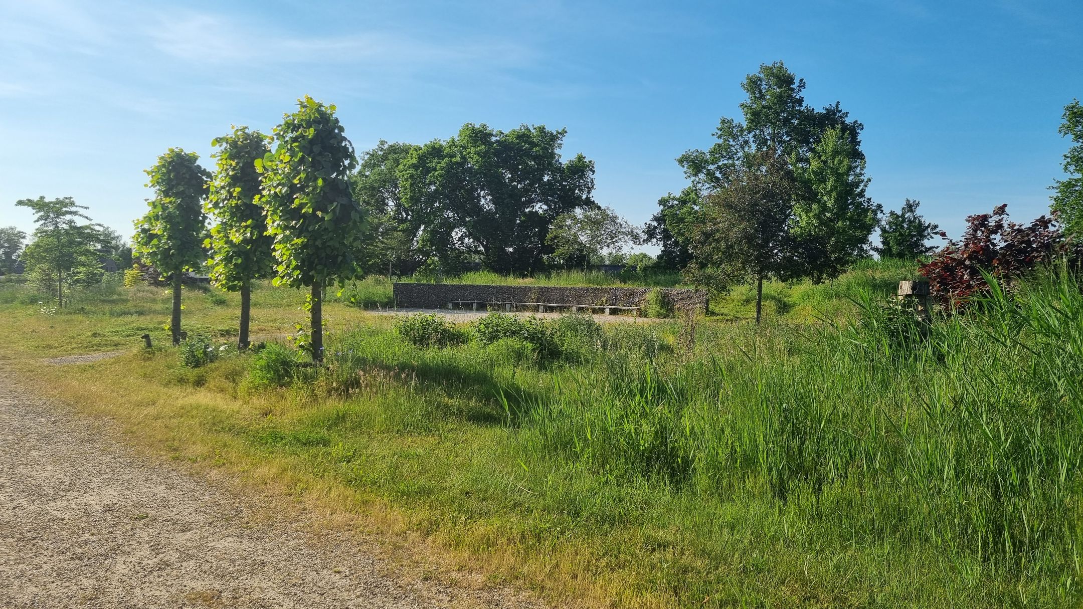 Foto 9 van Stellingmolen 14