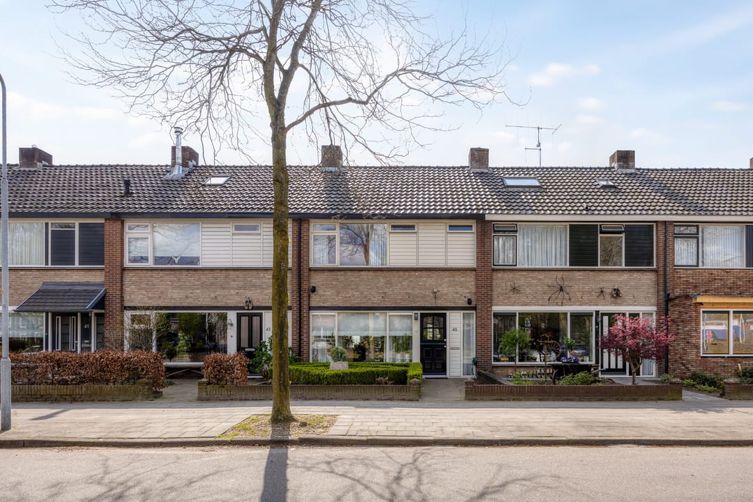 Foto 1 van Reeënlaan 45