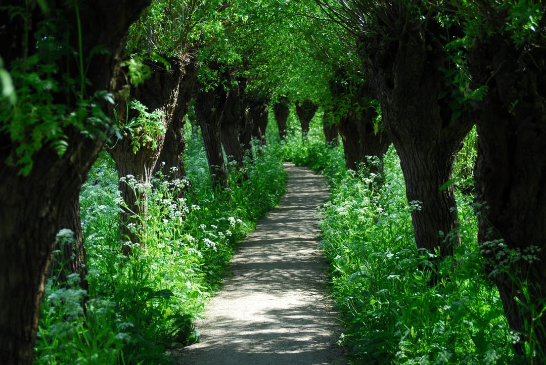 Foto 38 van Jan Kooijmanlaan 5