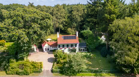 undefined main image