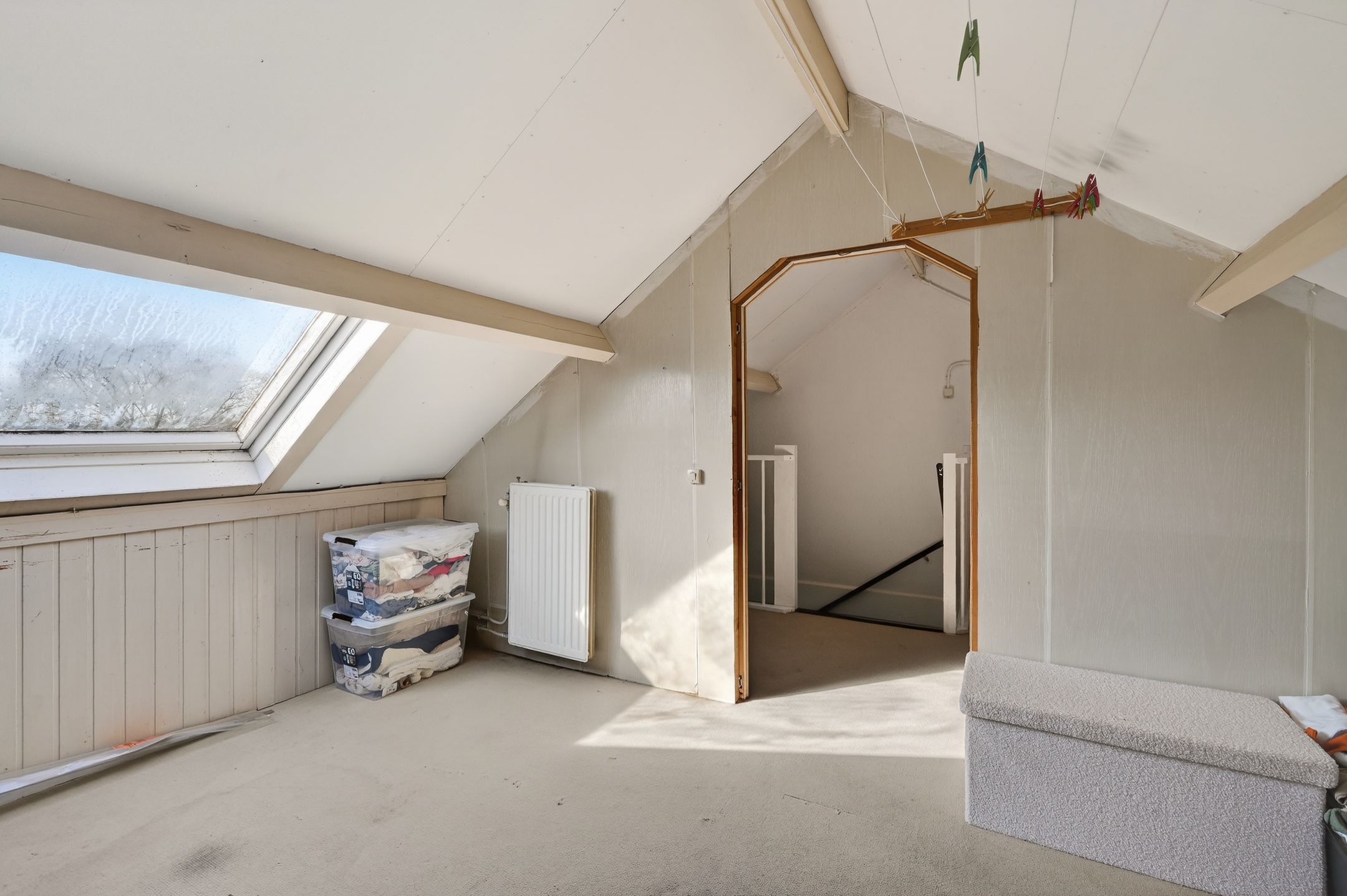 Foto 27 van Akkerdistel 95