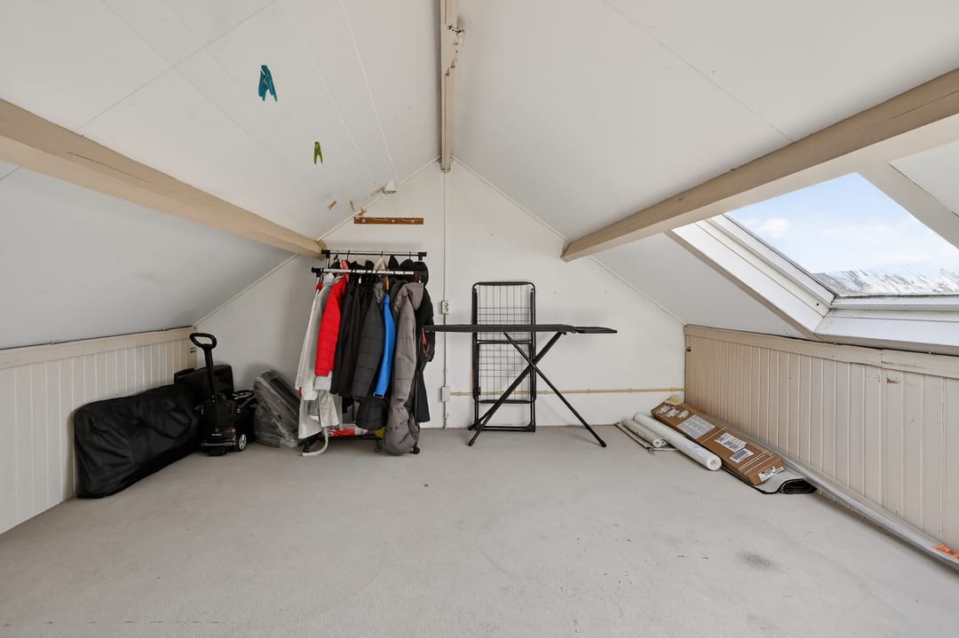 Foto 28 van Akkerdistel 95