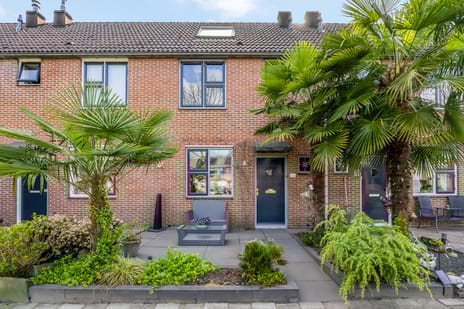 Dreef 206 secondary image