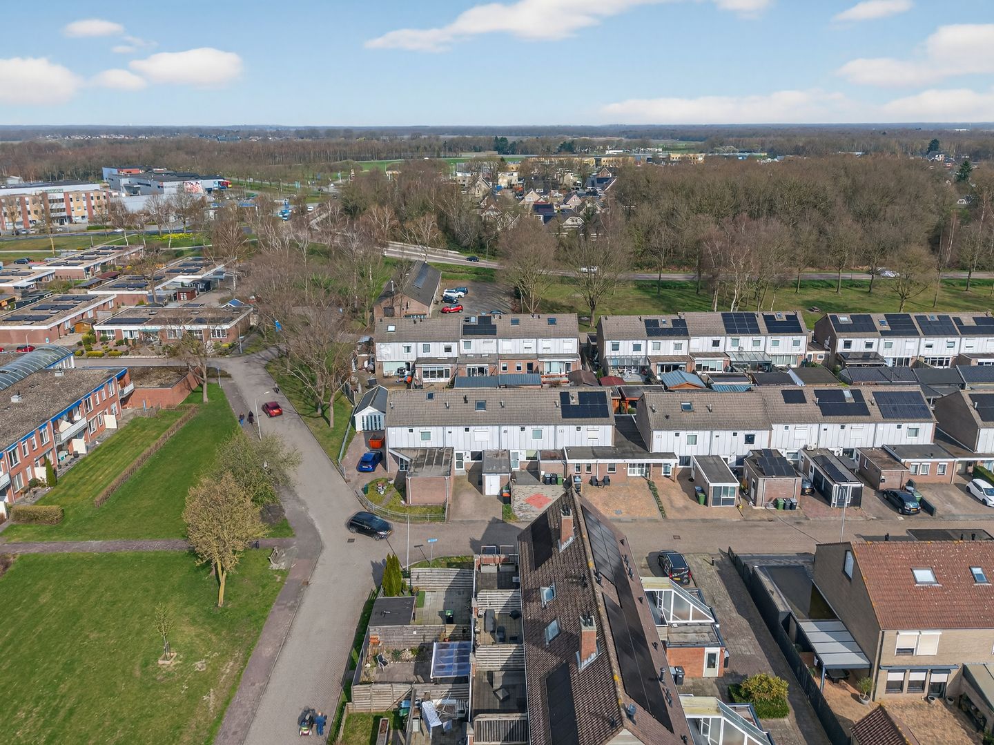 Foto 40 van Akkerdistel 95