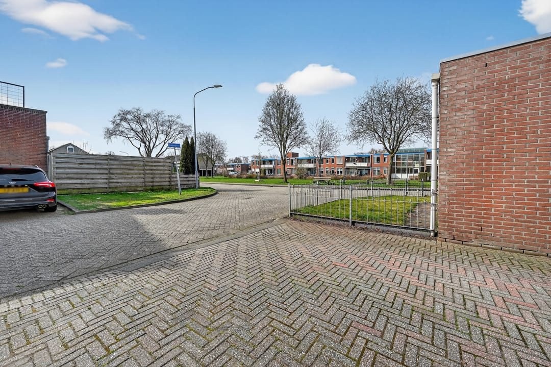 Foto 32 van Akkerdistel 95