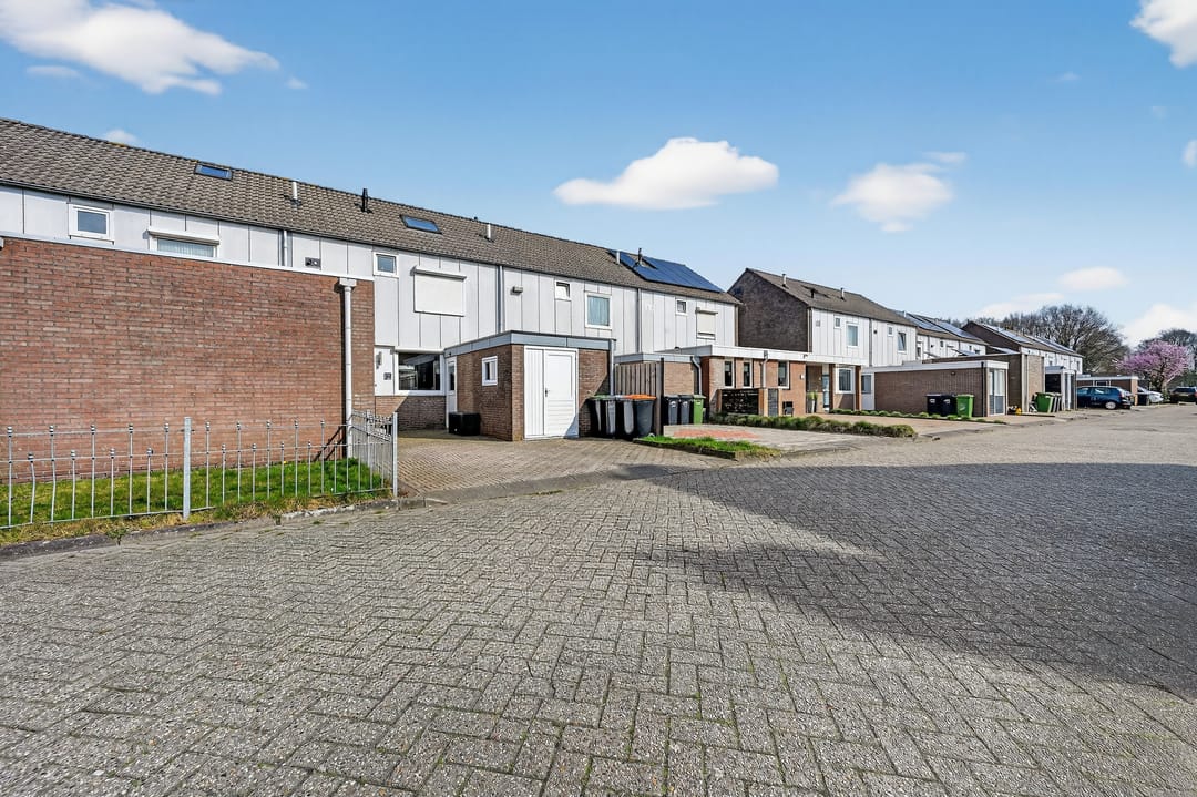 Foto 31 van Akkerdistel 95