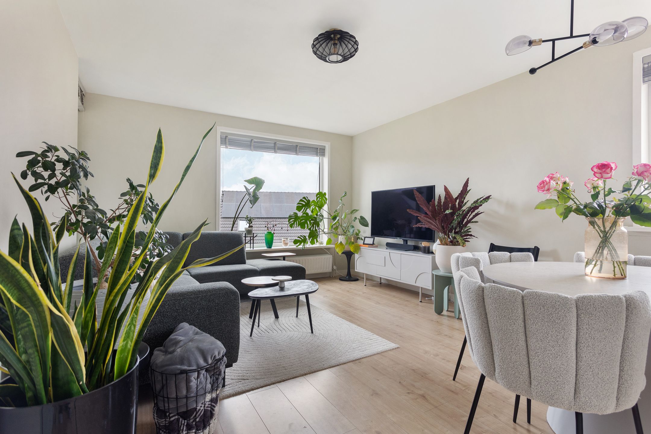 Foto 9 van Hofmark 359