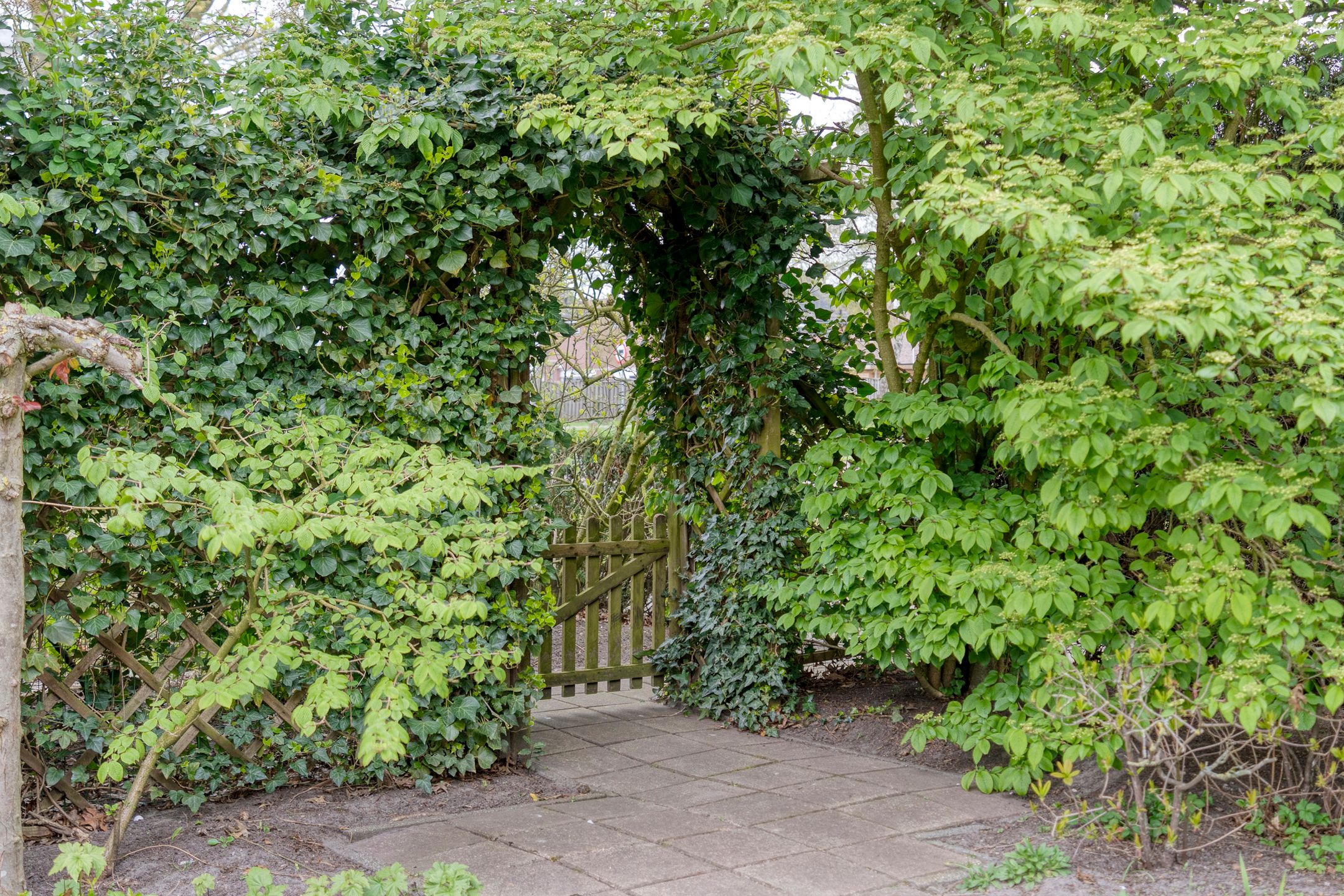 Foto 36 van Wiekslagen 30