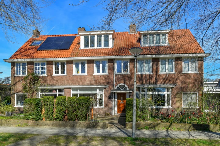 Mesdaglaan 44 main image